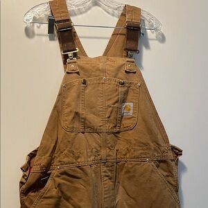 Carhartt Brown Men's Overalls